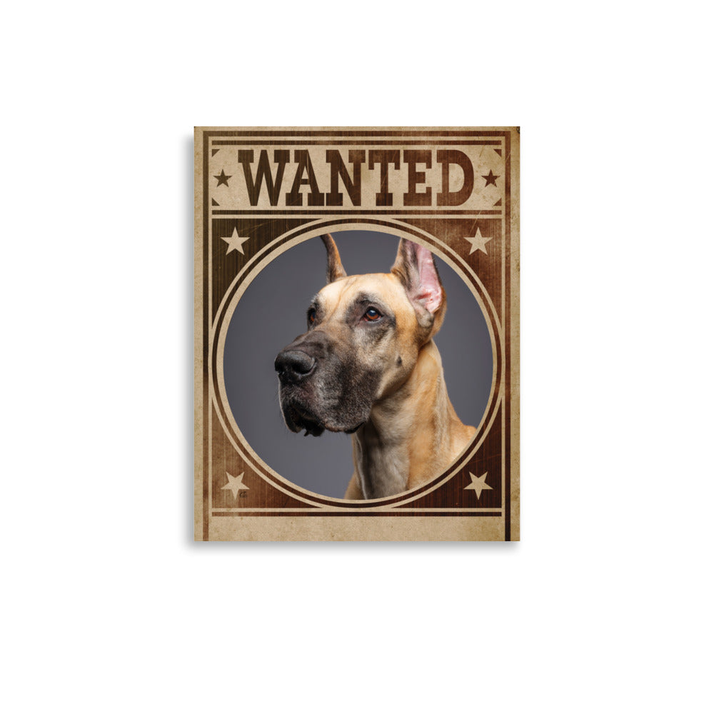 Great Dane Mug Shot Wanted Poster