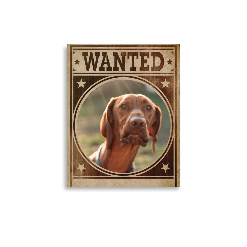 Pointer Mug Shot Wanted Poster