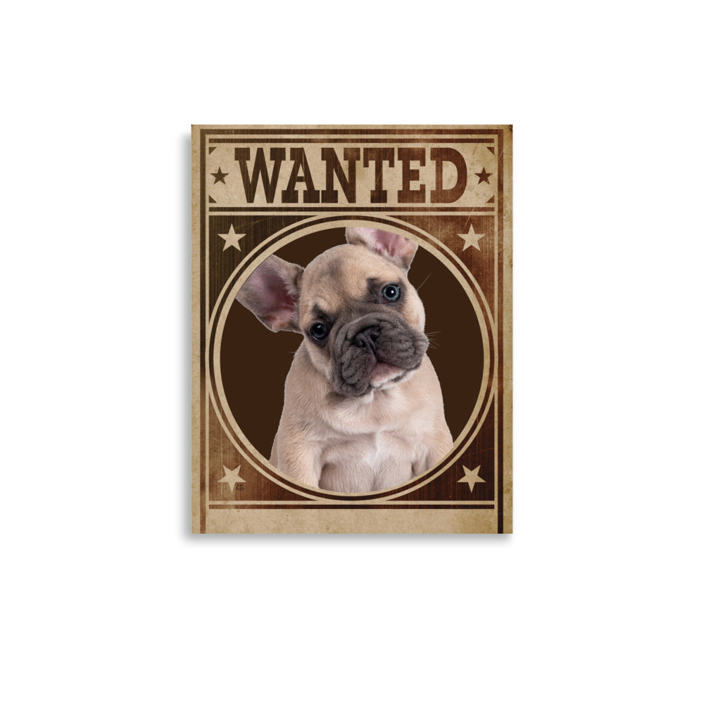 French Bulldog Mug Shot Wanted Poster