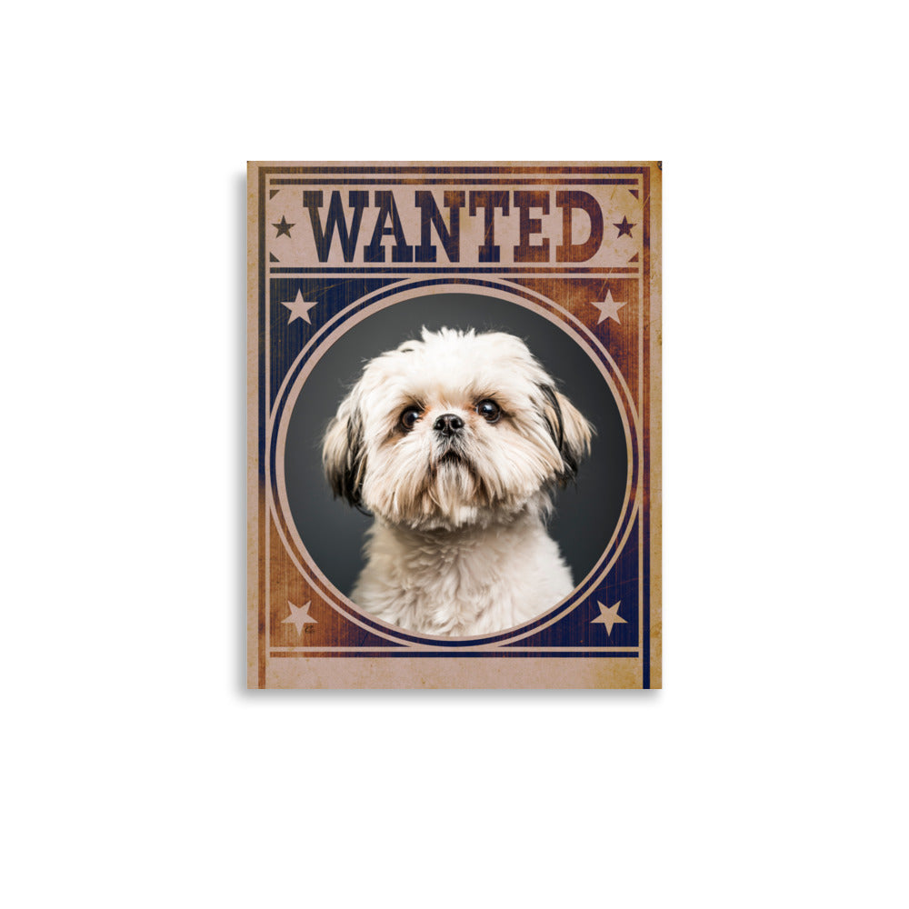 Shih Tzu Mug Shot Wanted Poster