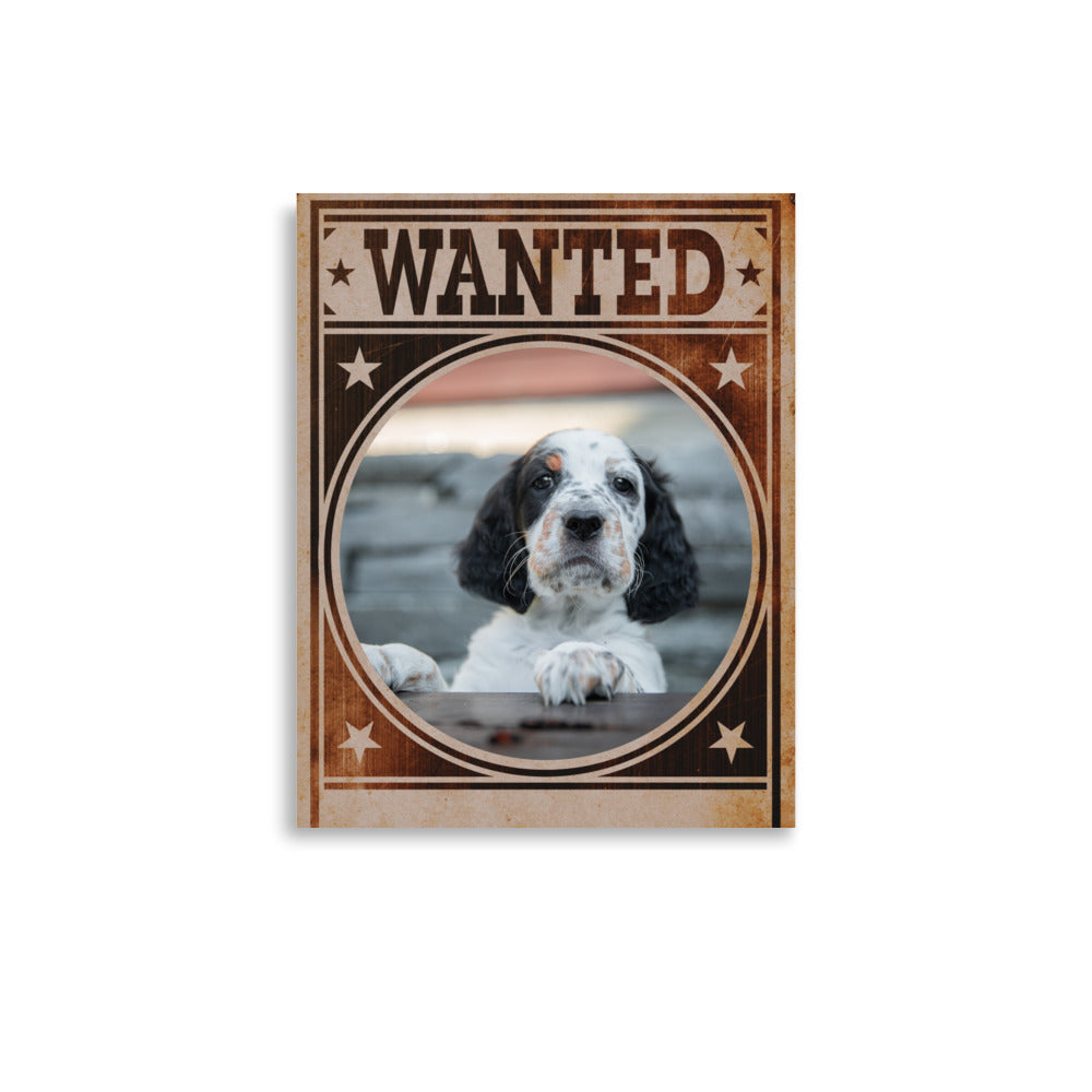 English Setter Mug Shot Wanted Poster