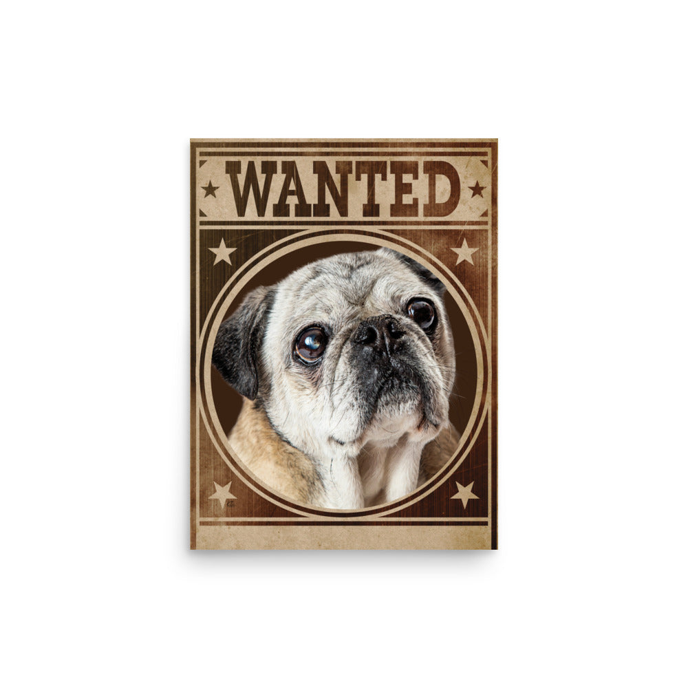 Pug Shot Wanted Poster