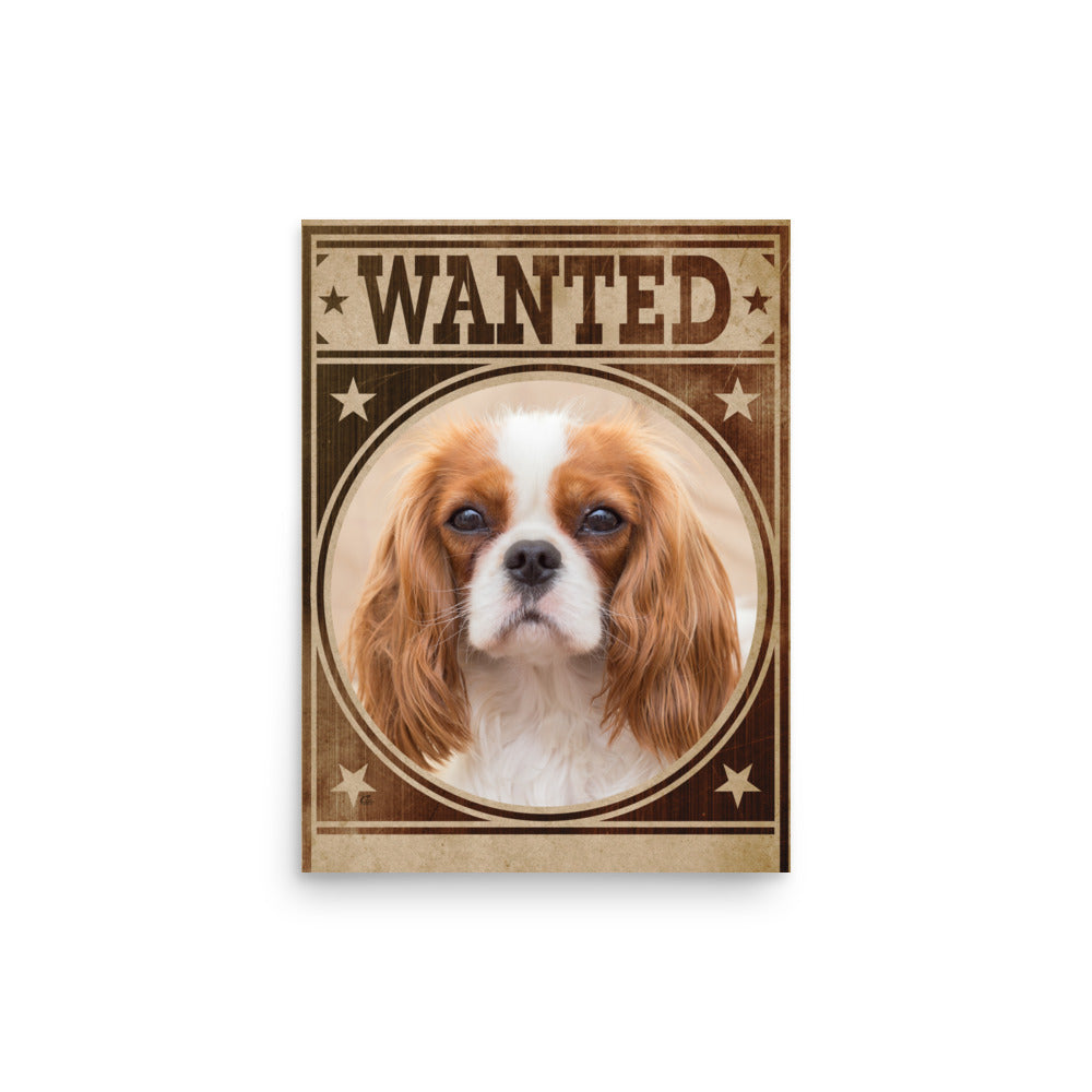 Cavalier King Charles Spaniel Mug Shot Wanted Poster