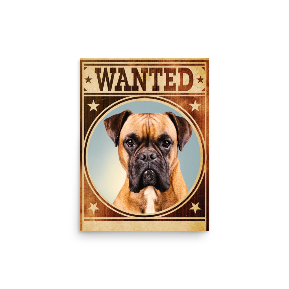 Boxer Mug Shot Wanted Poster