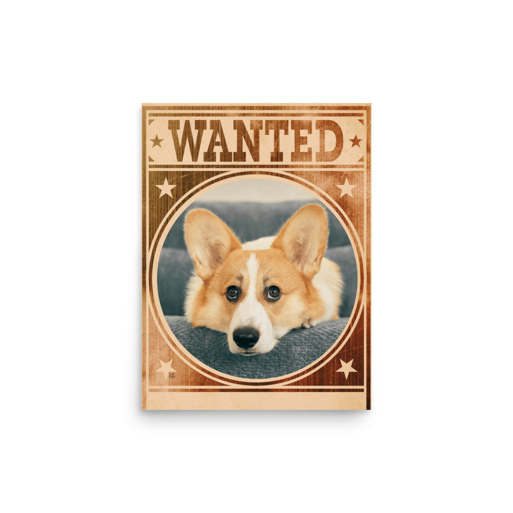 Corgi Mug Shot Wanted Poster