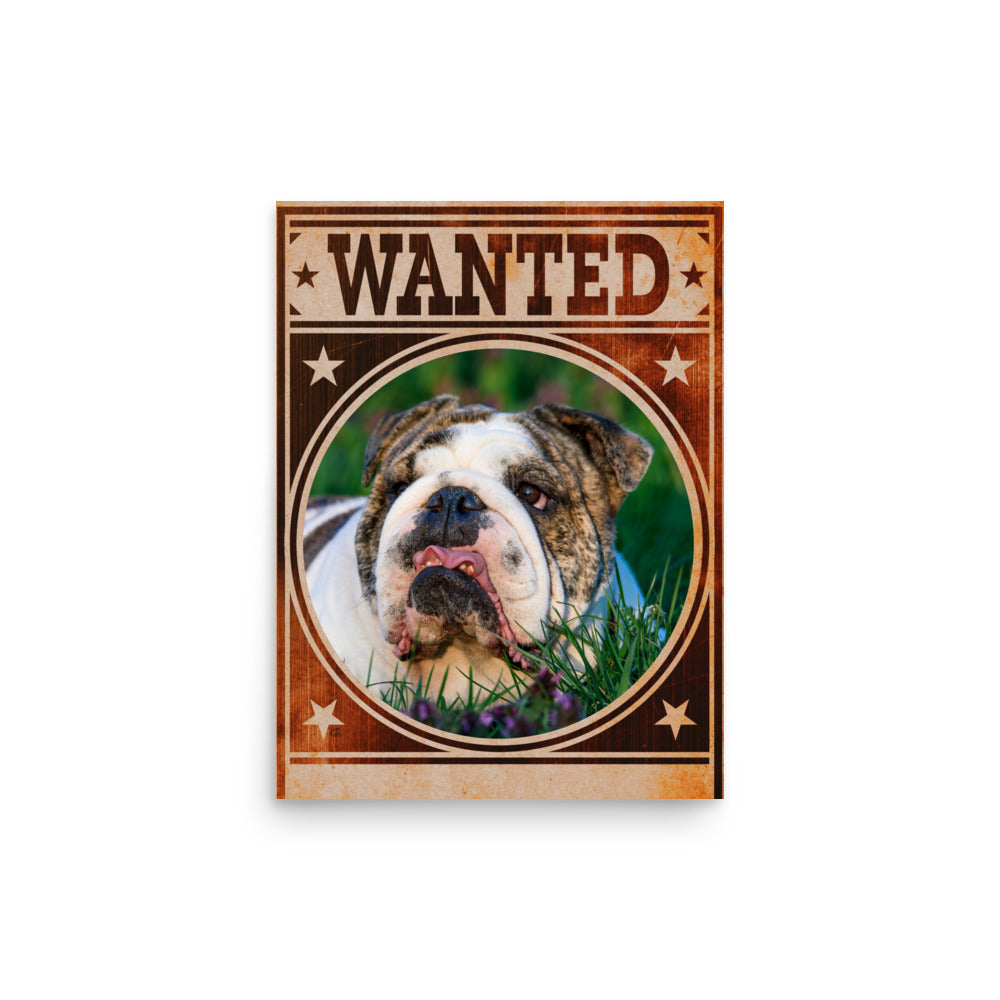 Bulldog Mug Shot Wanted Poster