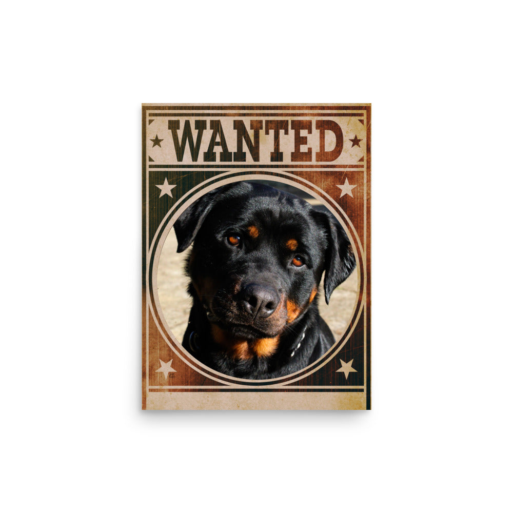 Rottweiler Mug Shot Wanted Poster