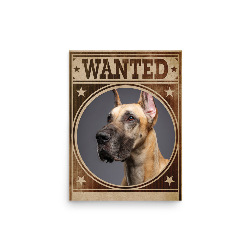 Great Dane Mug Shot Wanted Poster