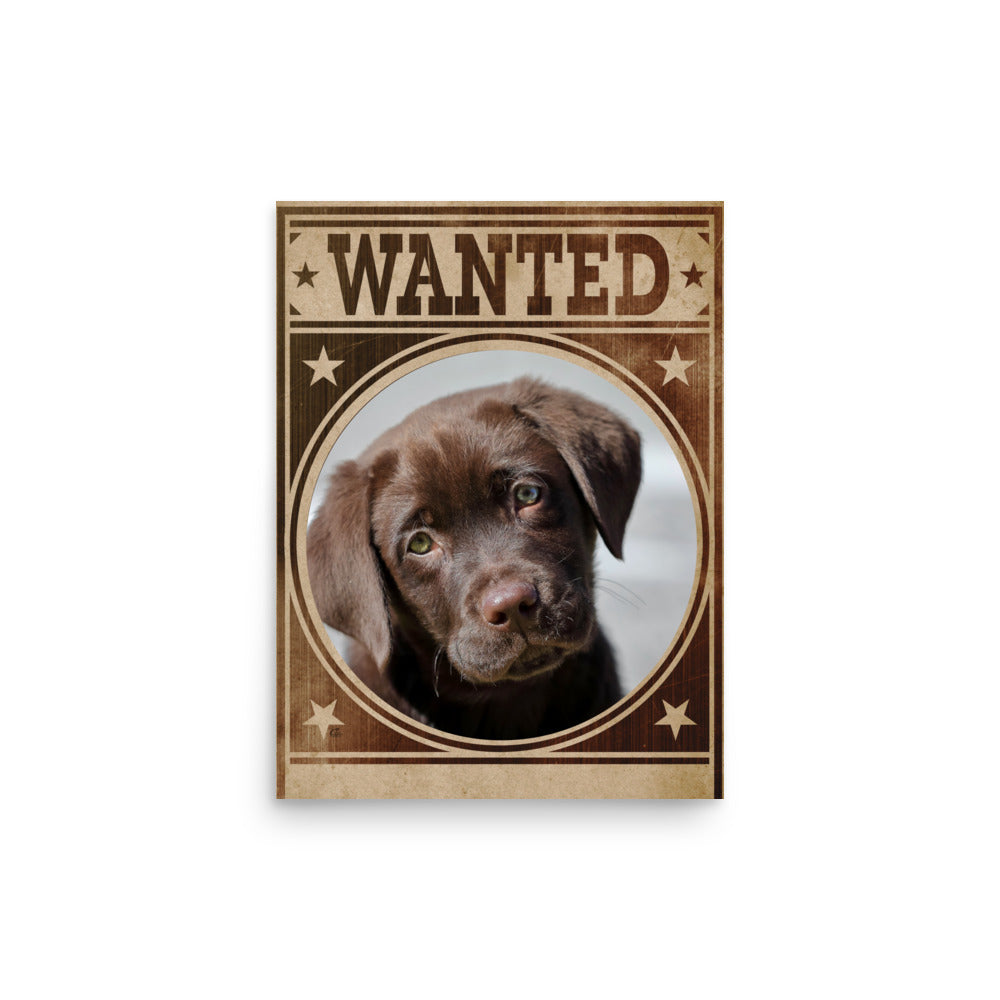 Labrador Mug Shot Wanted Poster