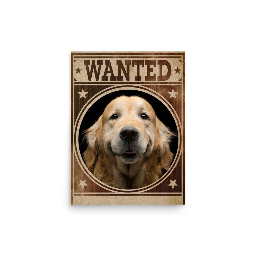 Golden Retriever Mug Shot Wanted Poster