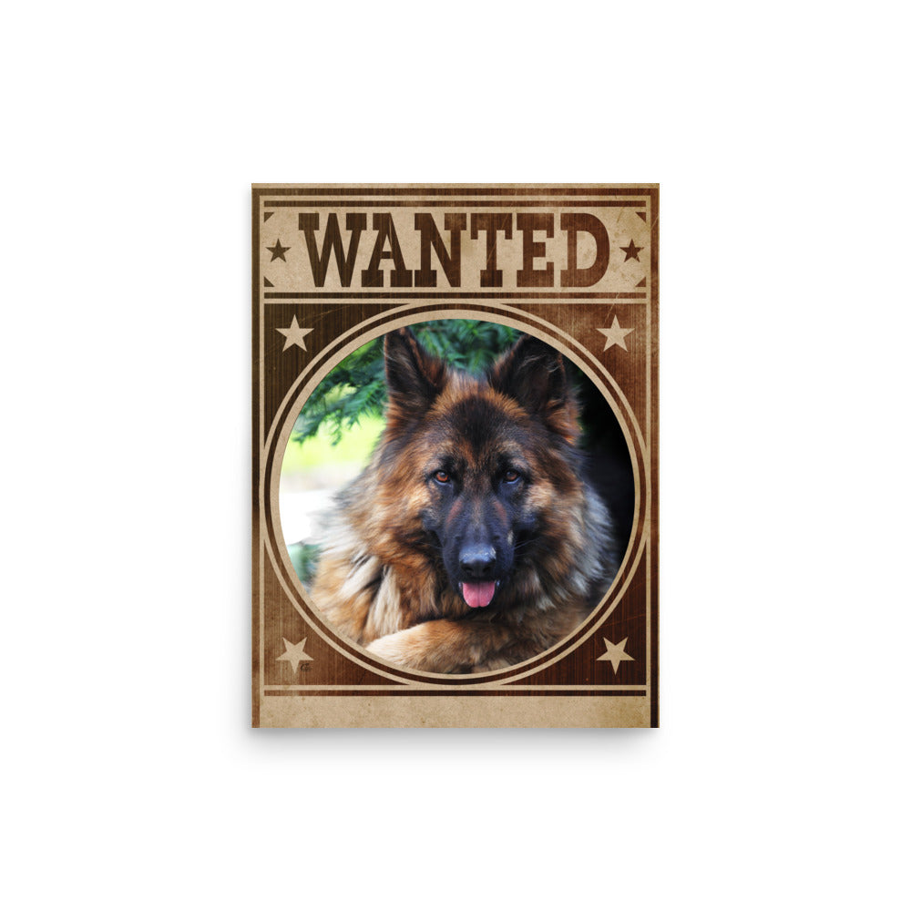 German Shepherd Mug Shot Wanted Poster