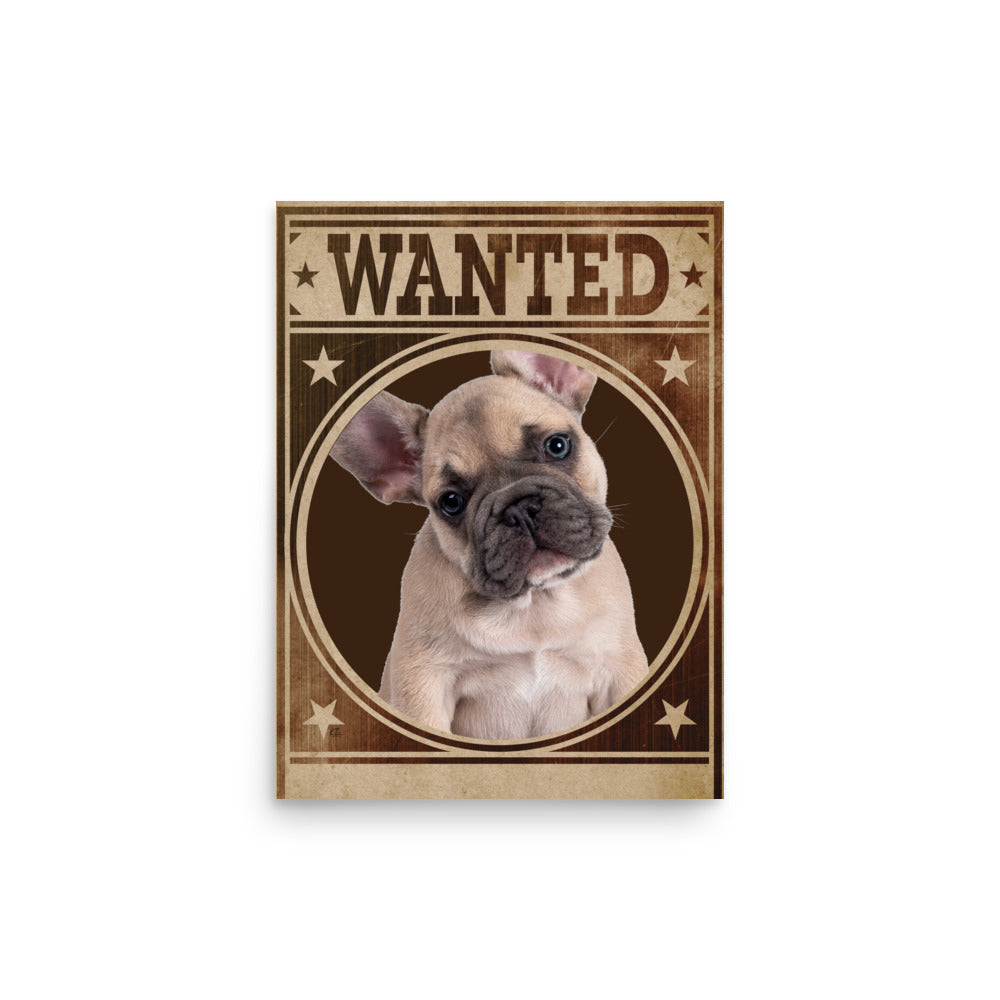 French Bulldog Mug Shot Wanted Poster