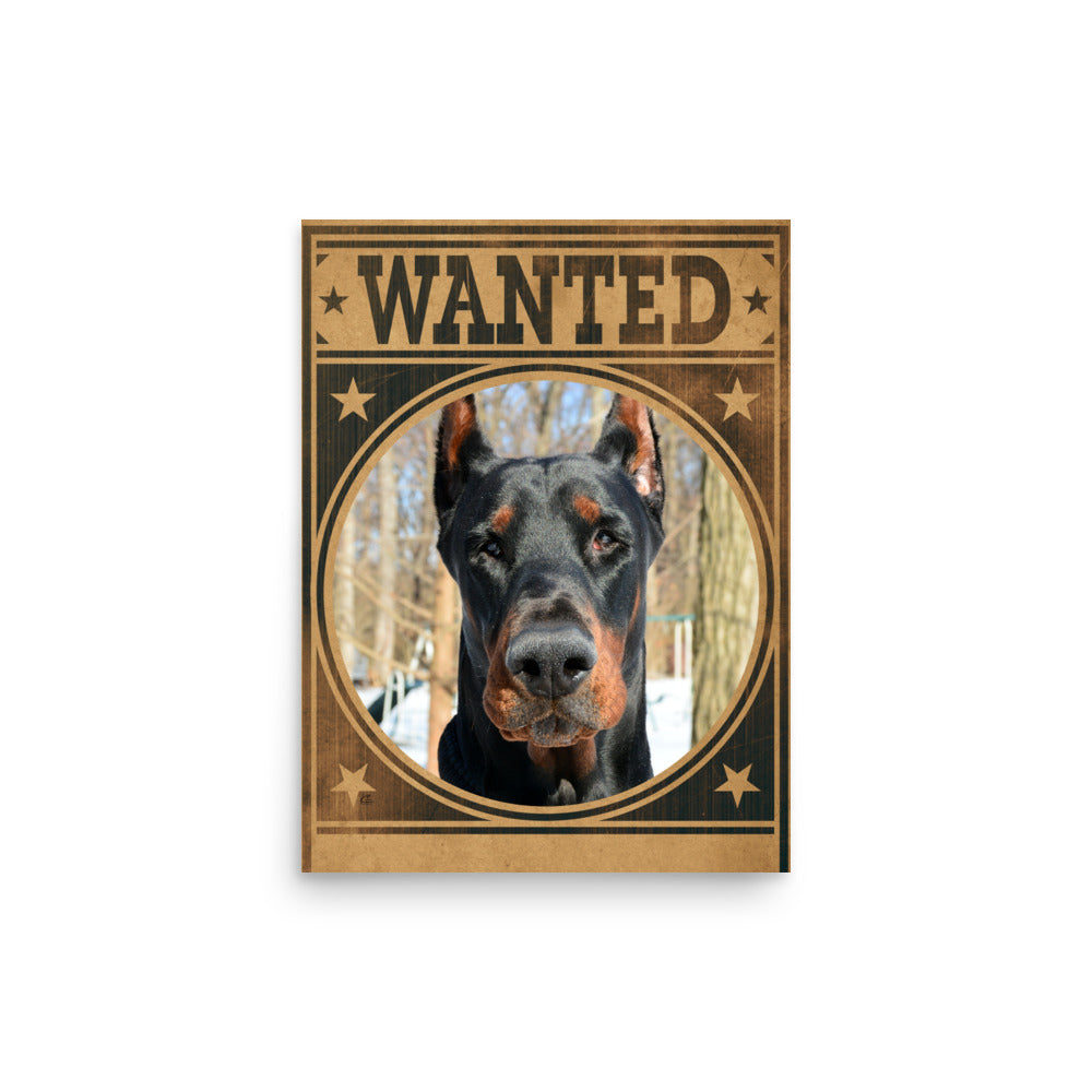 Doberman Pinscher Mug Shot Wanted Poster