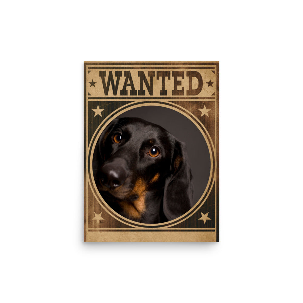 Dachshund Mug Shot Wanted Poster