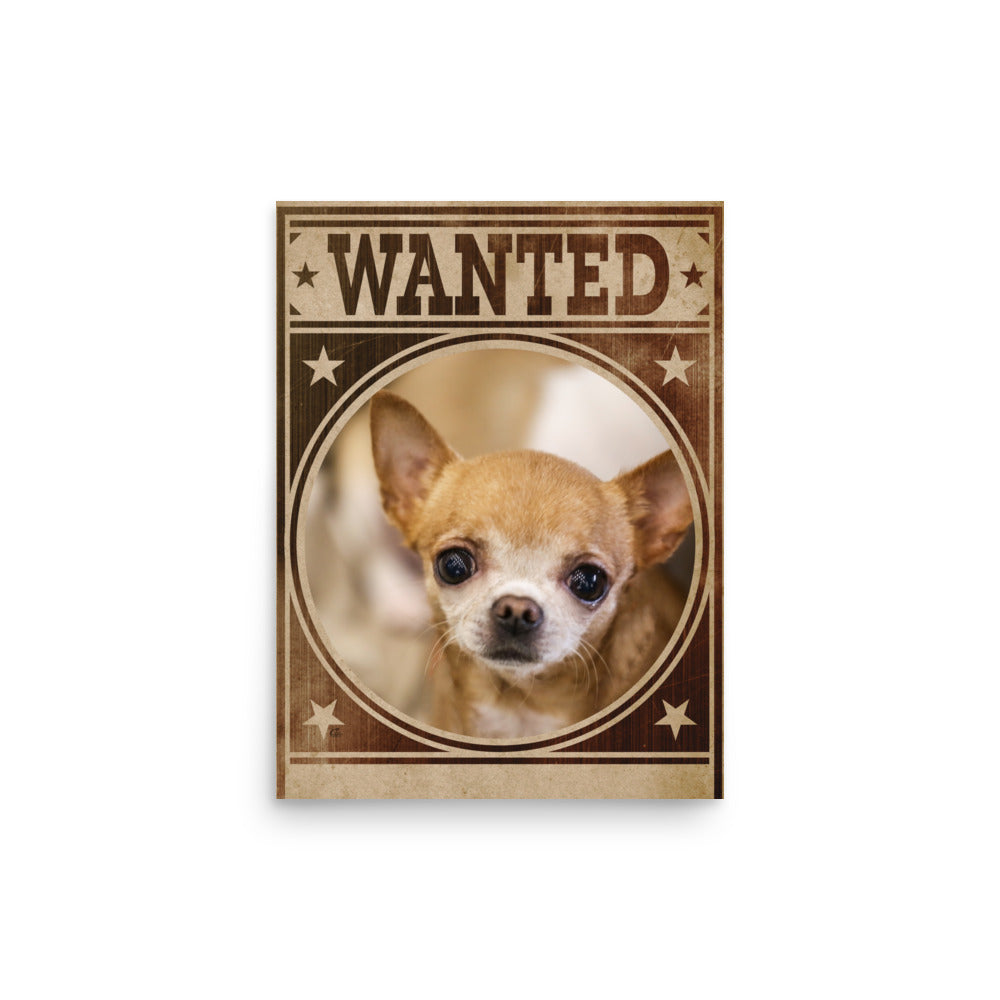 Chihuahua Mug Shot Wanted Poster