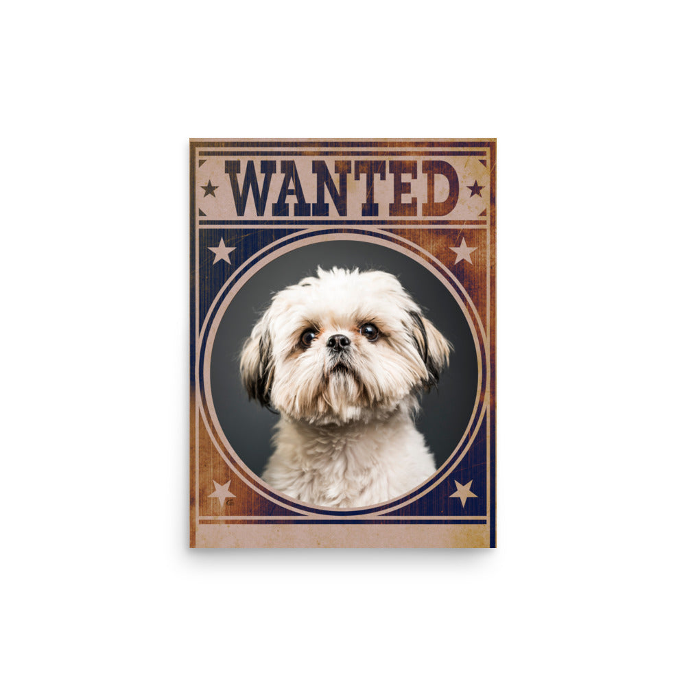 Shih Tzu Mug Shot Wanted Poster