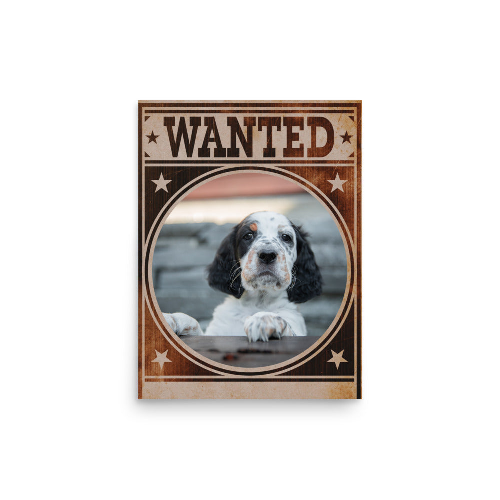 English Setter Mug Shot Wanted Poster