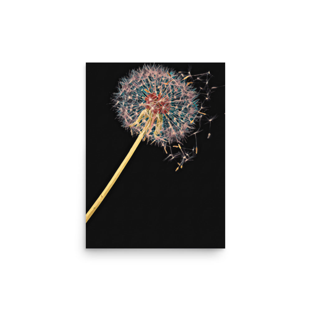 Dandelion Puffball on Black Floral Art Poster