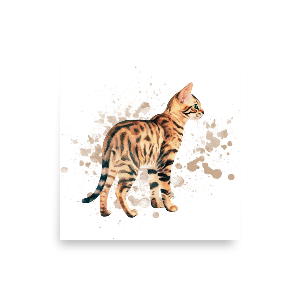 Bengal Kitten Poster