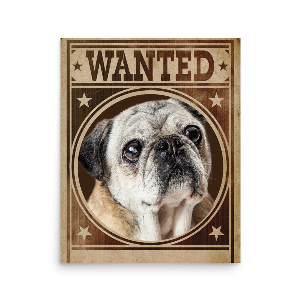 Pug Shot Wanted Poster