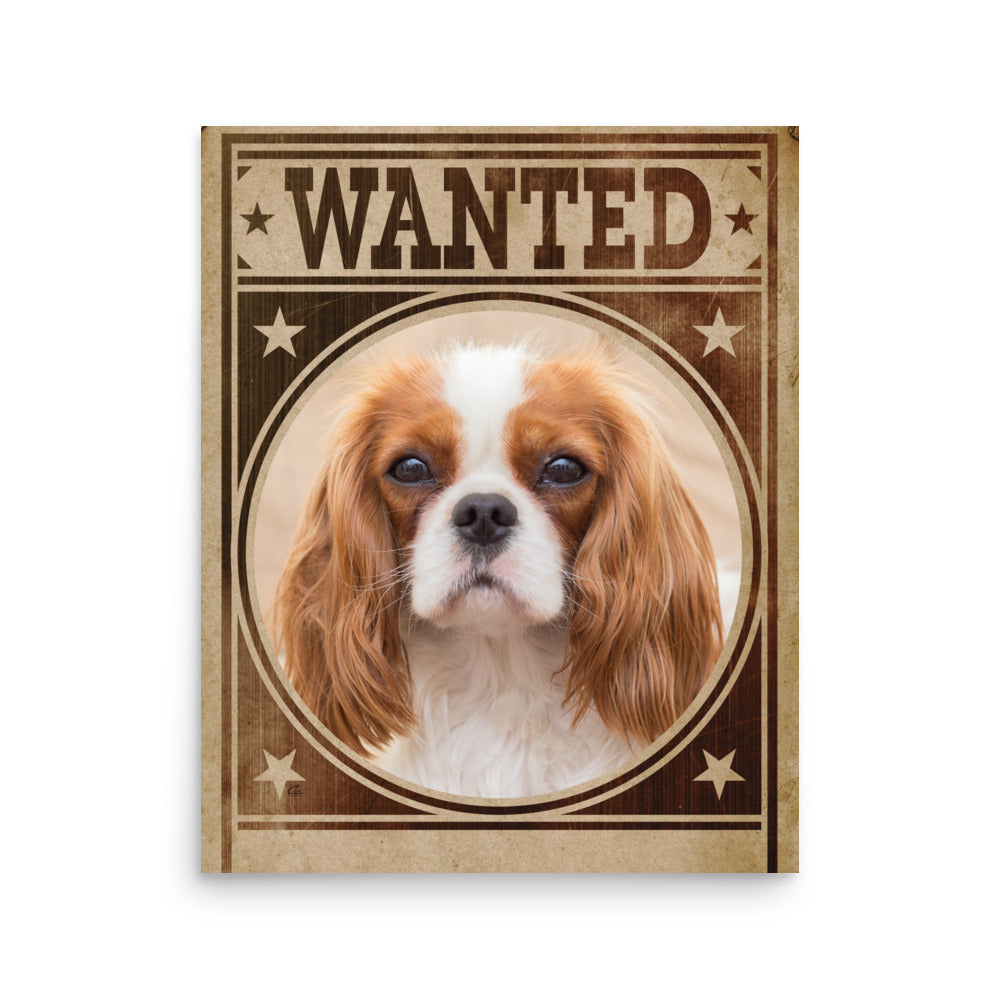 Cavalier King Charles Spaniel Mug Shot Wanted Poster