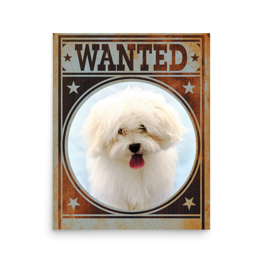 Bichon Frise Mug Shot Wanted Poster