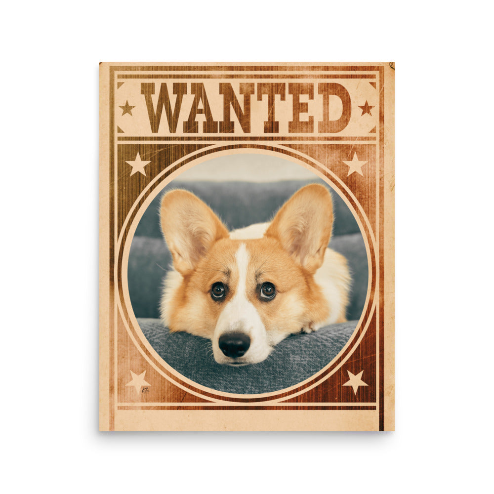 Corgi Mug Shot Wanted Poster