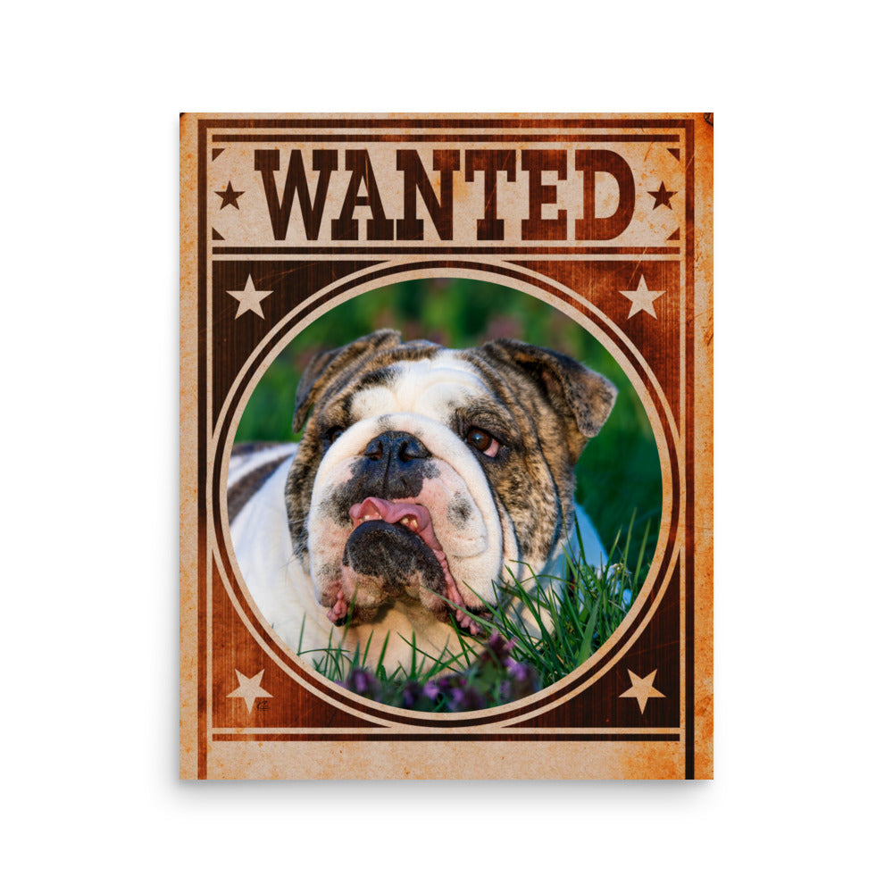 Bulldog Mug Shot Wanted Poster