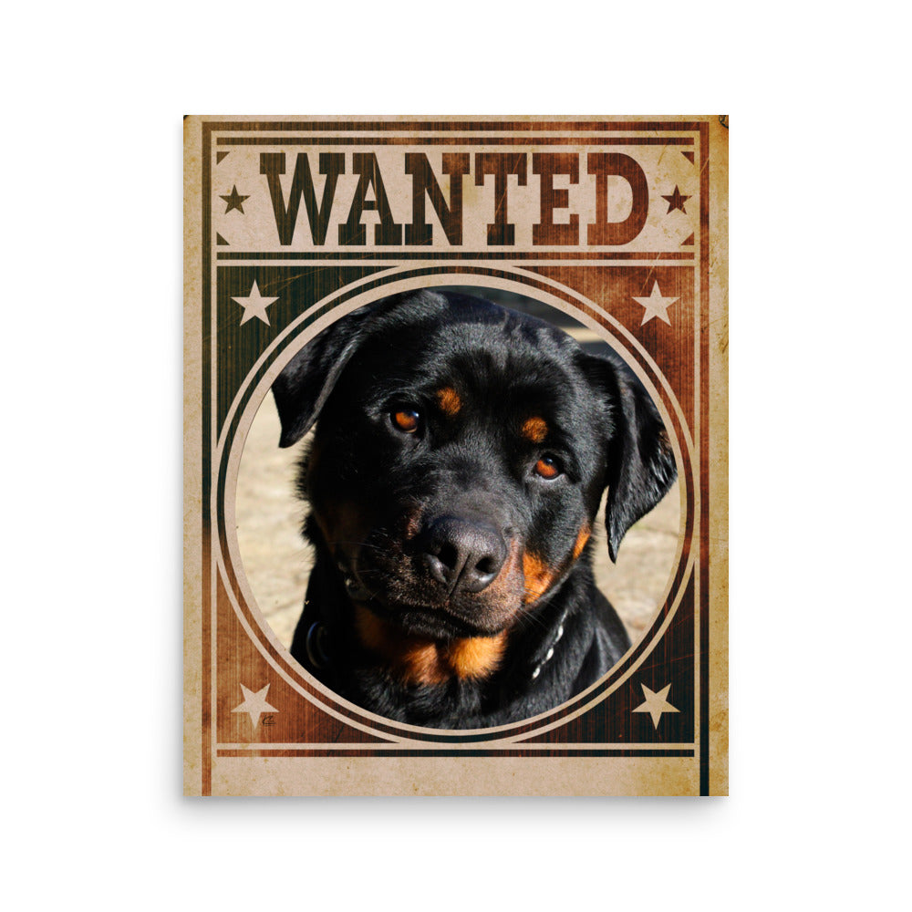 Rottweiler Mug Shot Wanted Poster