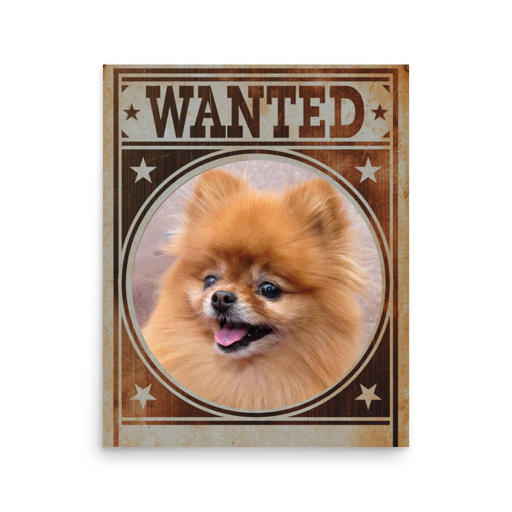 Pomeranian Mug Shot Wanted Poster