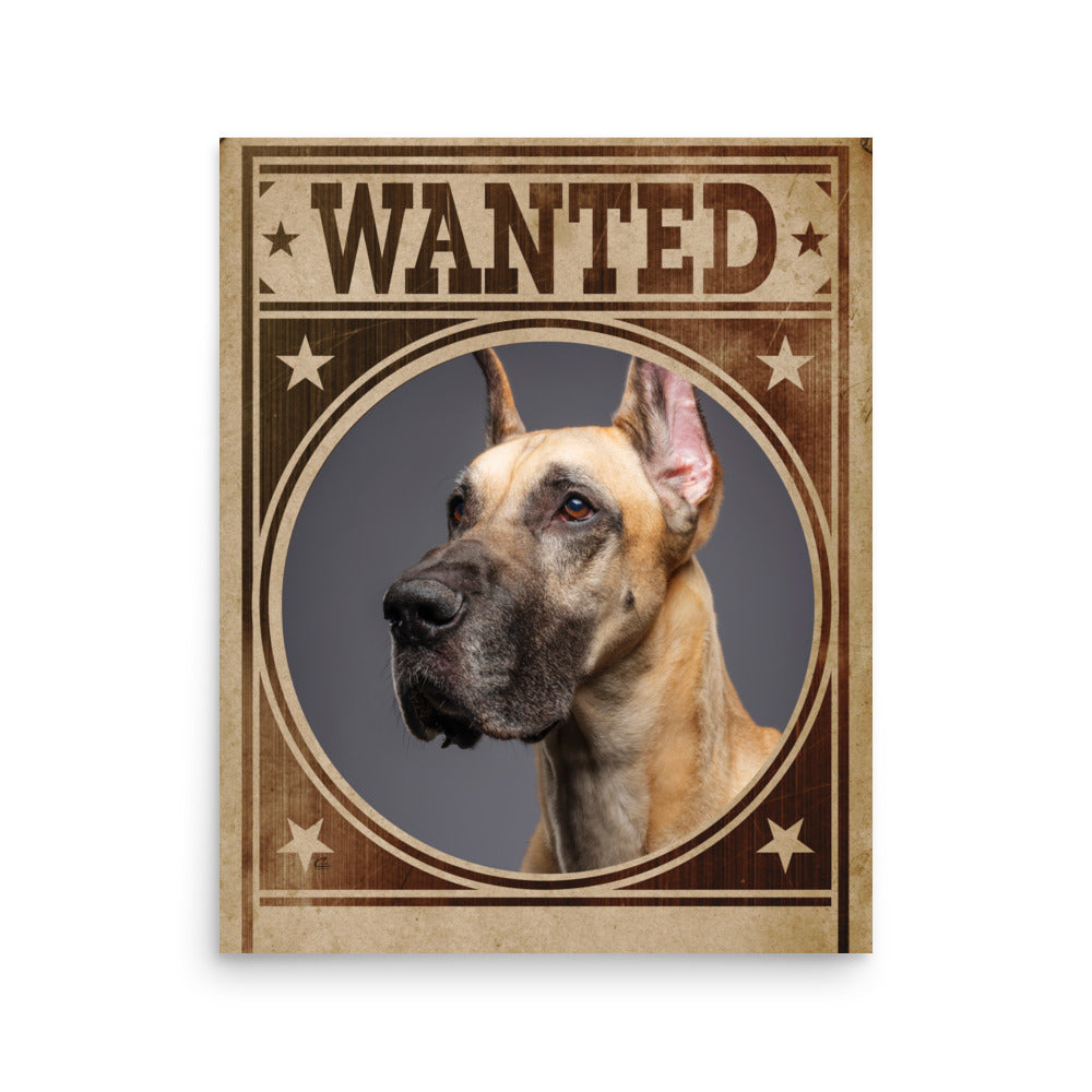 Great Dane Mug Shot Wanted Poster