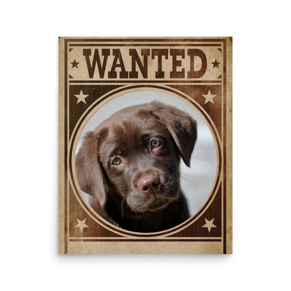 Labrador Mug Shot Wanted Poster