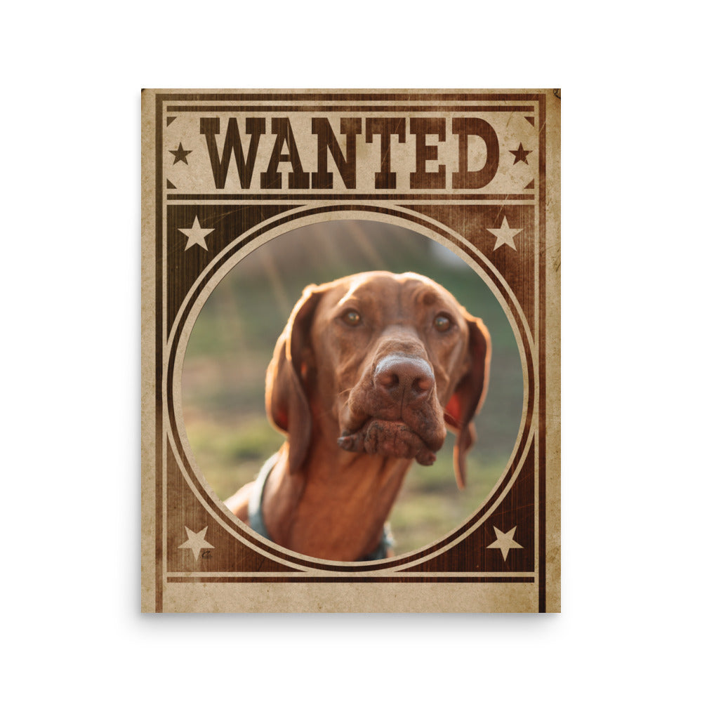 Pointer Mug Shot Wanted Poster