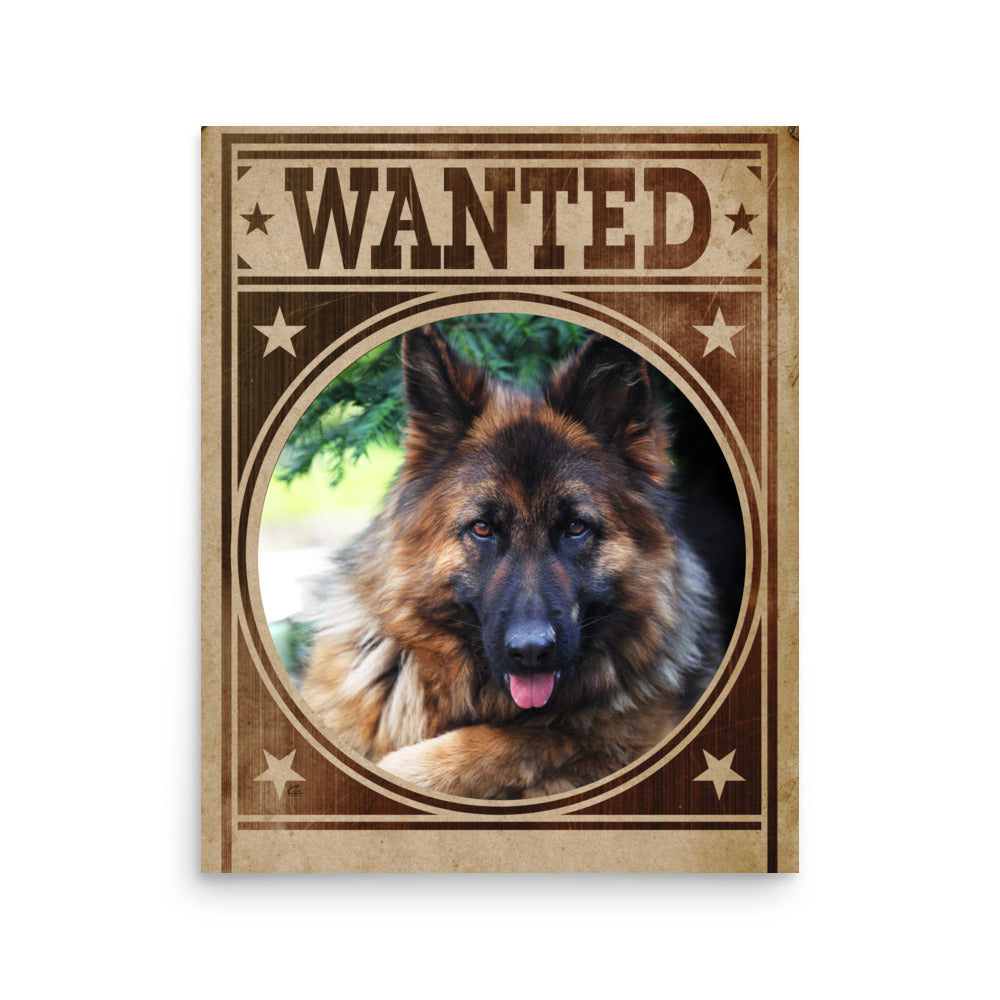 German Shepherd Mug Shot Wanted Poster