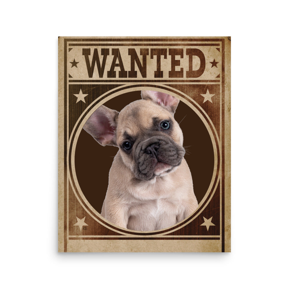 French Bulldog Mug Shot Wanted Poster