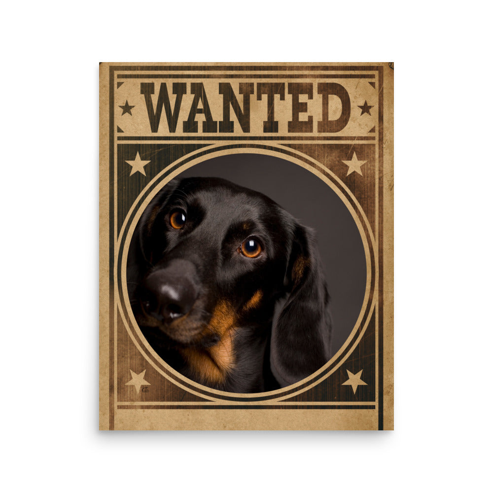 Dachshund Mug Shot Wanted Poster