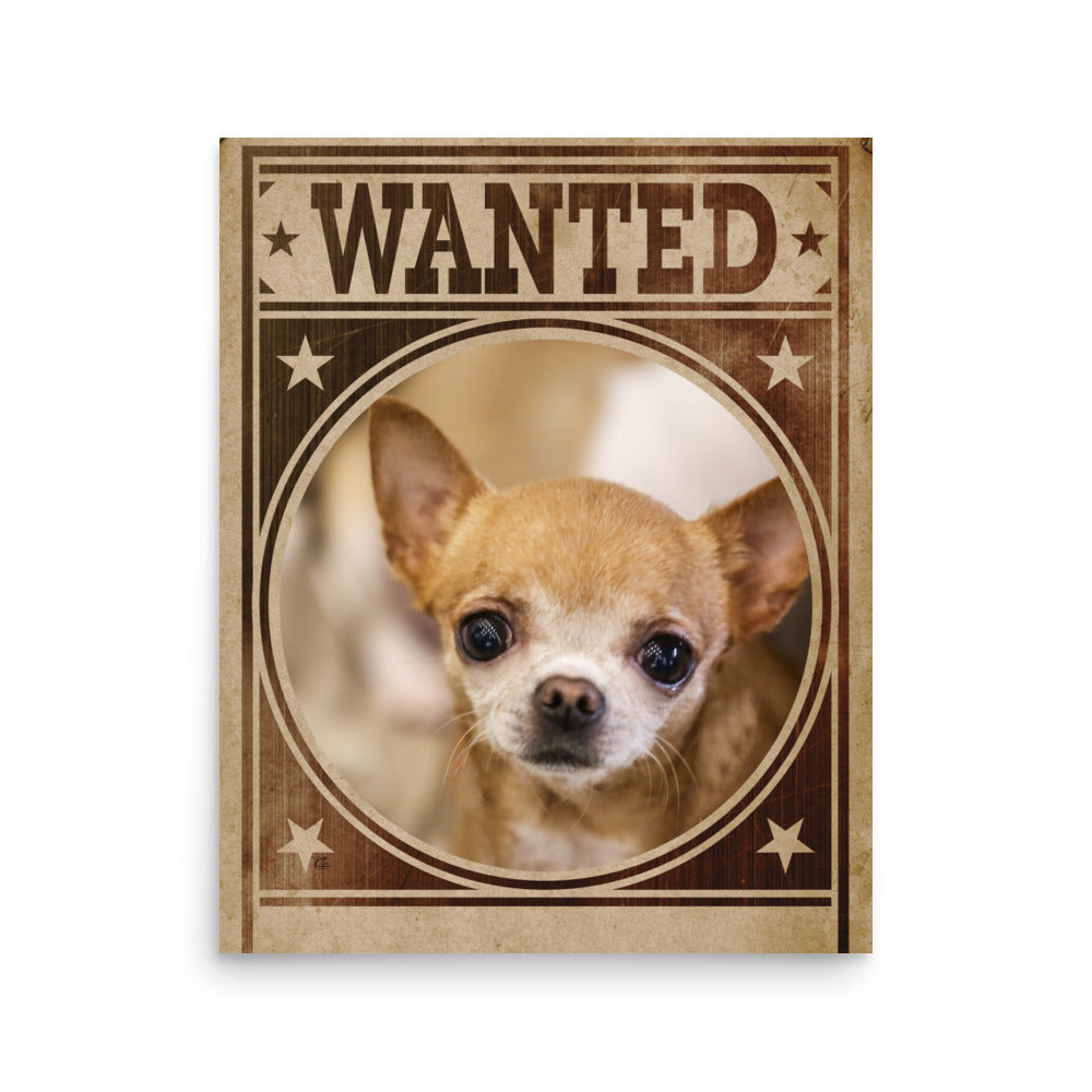 Chihuahua Mug Shot Wanted Poster