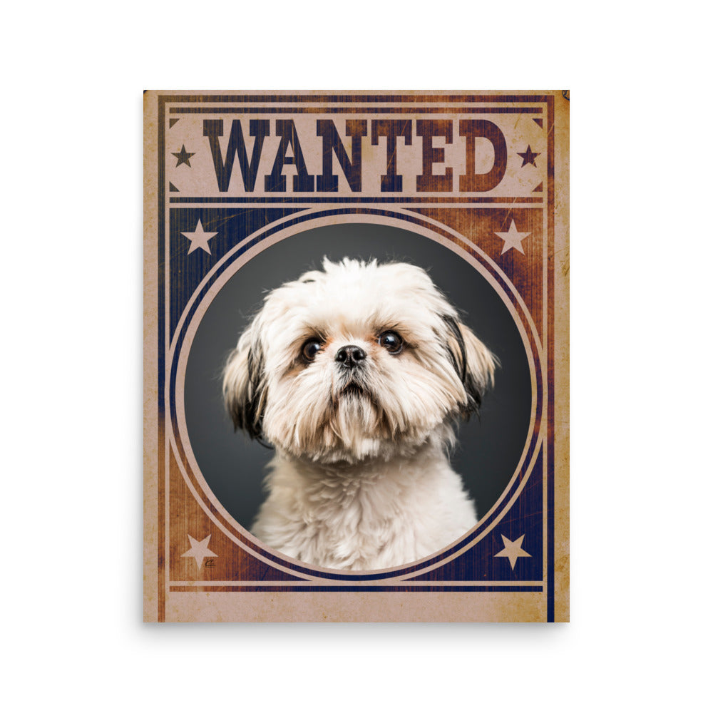 Shih Tzu Mug Shot Wanted Poster