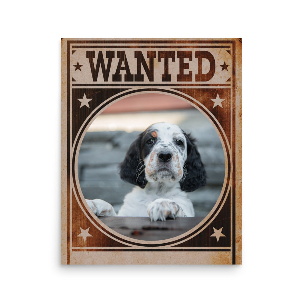 English Setter Mug Shot Wanted Poster