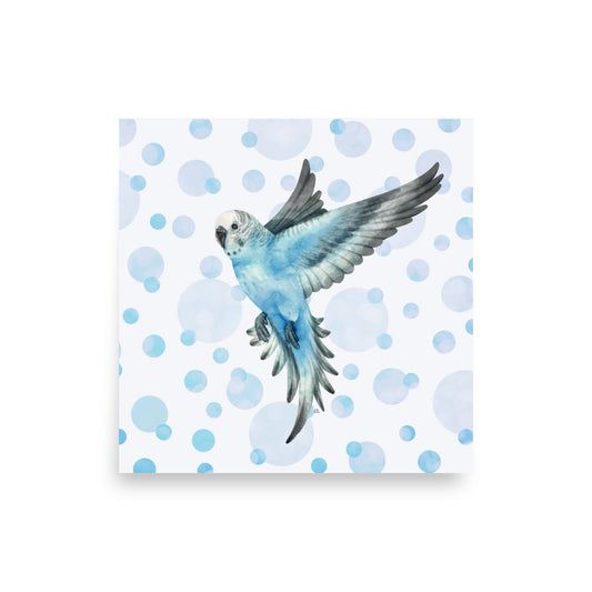 Budgie Parakeet Poster