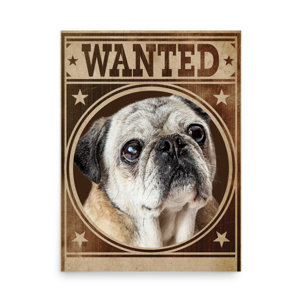 Pug Shot Wanted Poster