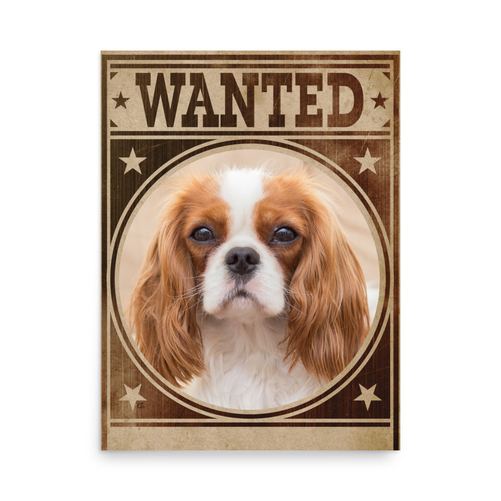 Cavalier King Charles Spaniel Mug Shot Wanted Poster