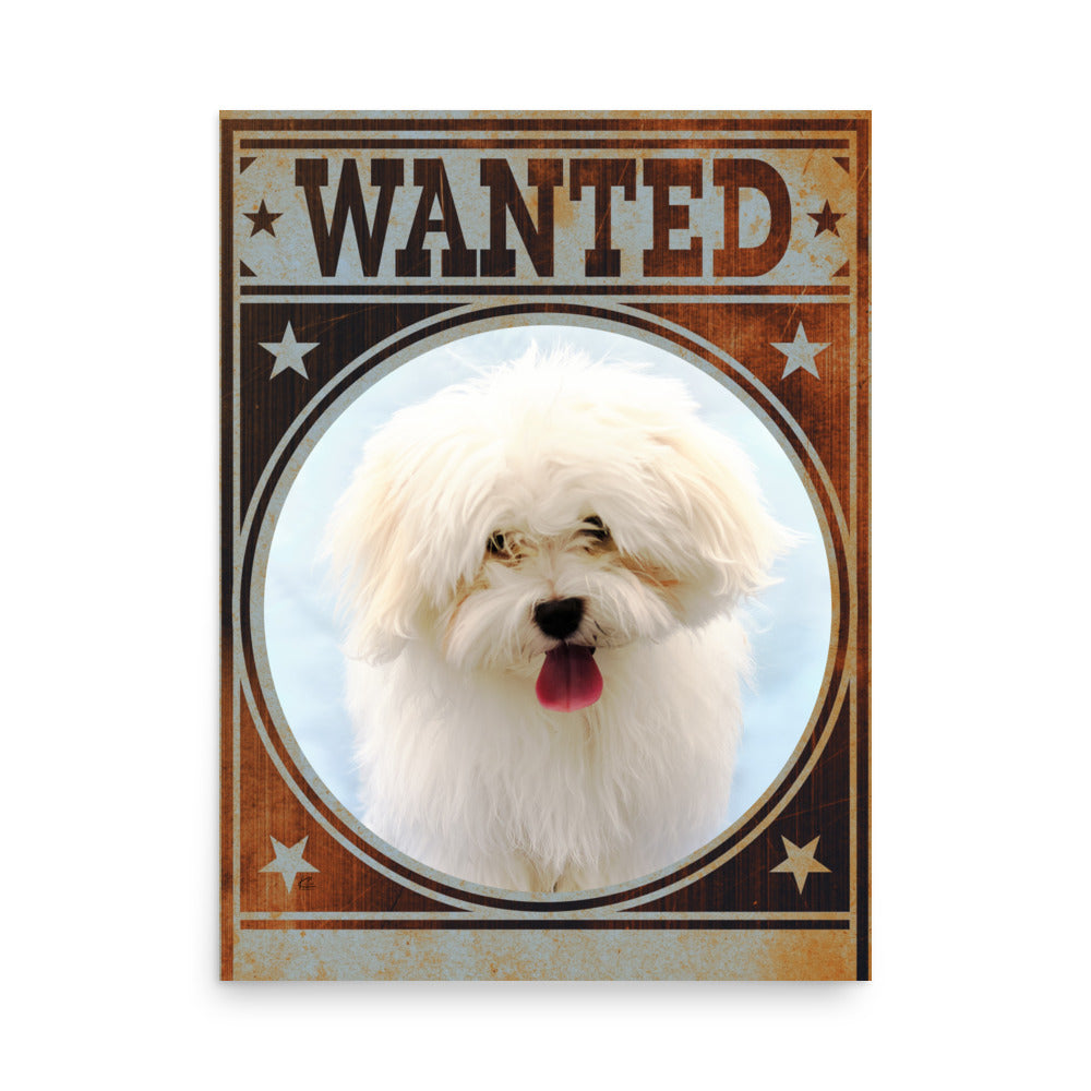 Bichon Frise Mug Shot Wanted Poster