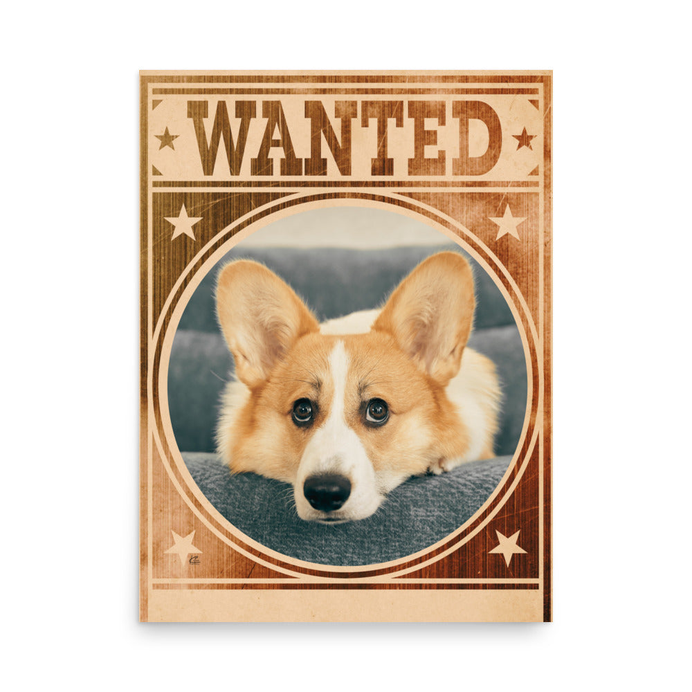 Corgi Mug Shot Wanted Poster