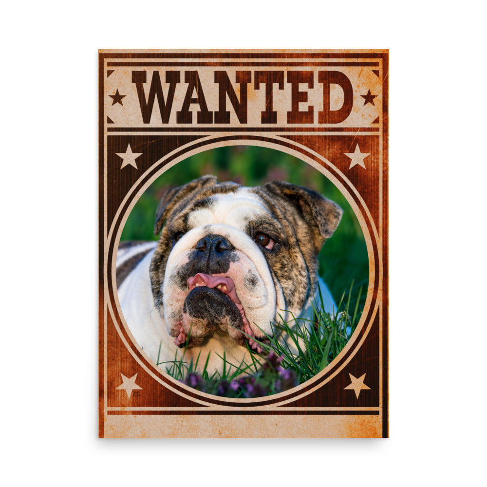 Bulldog Mug Shot Wanted Poster