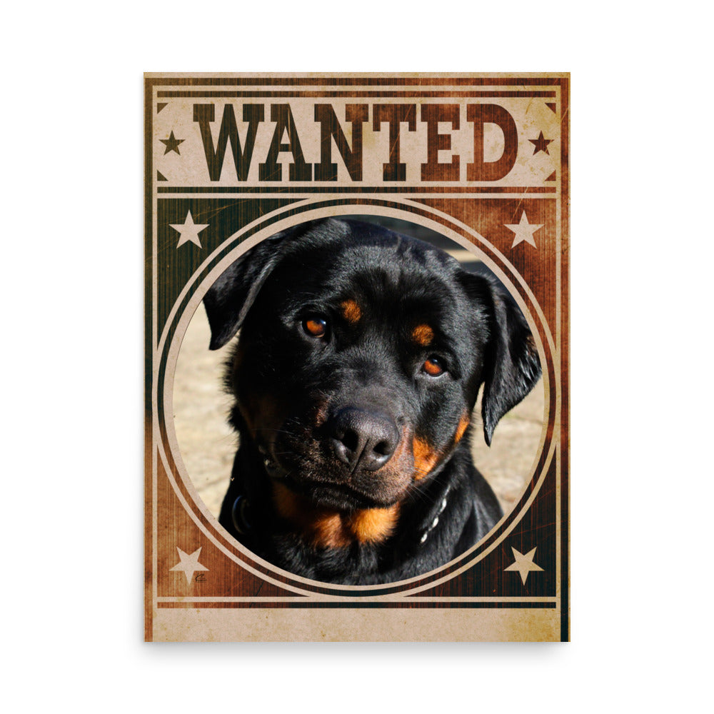 Rottweiler Mug Shot Wanted Poster