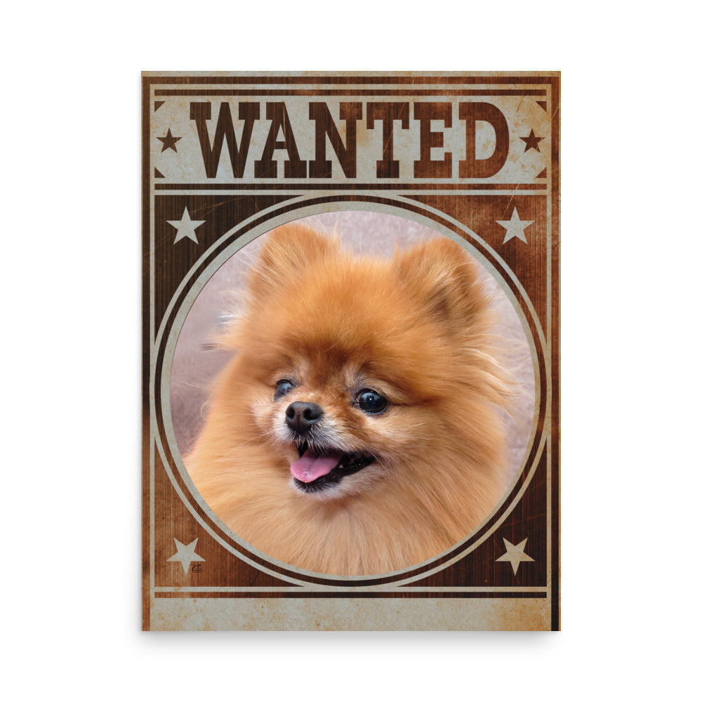 Pomeranian Mug Shot Wanted Poster