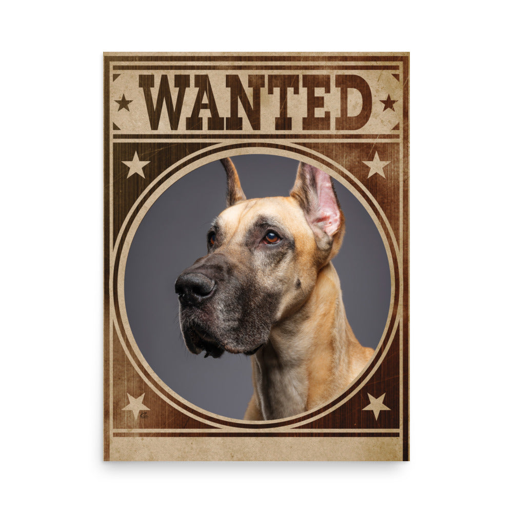 Great Dane Mug Shot Wanted Poster