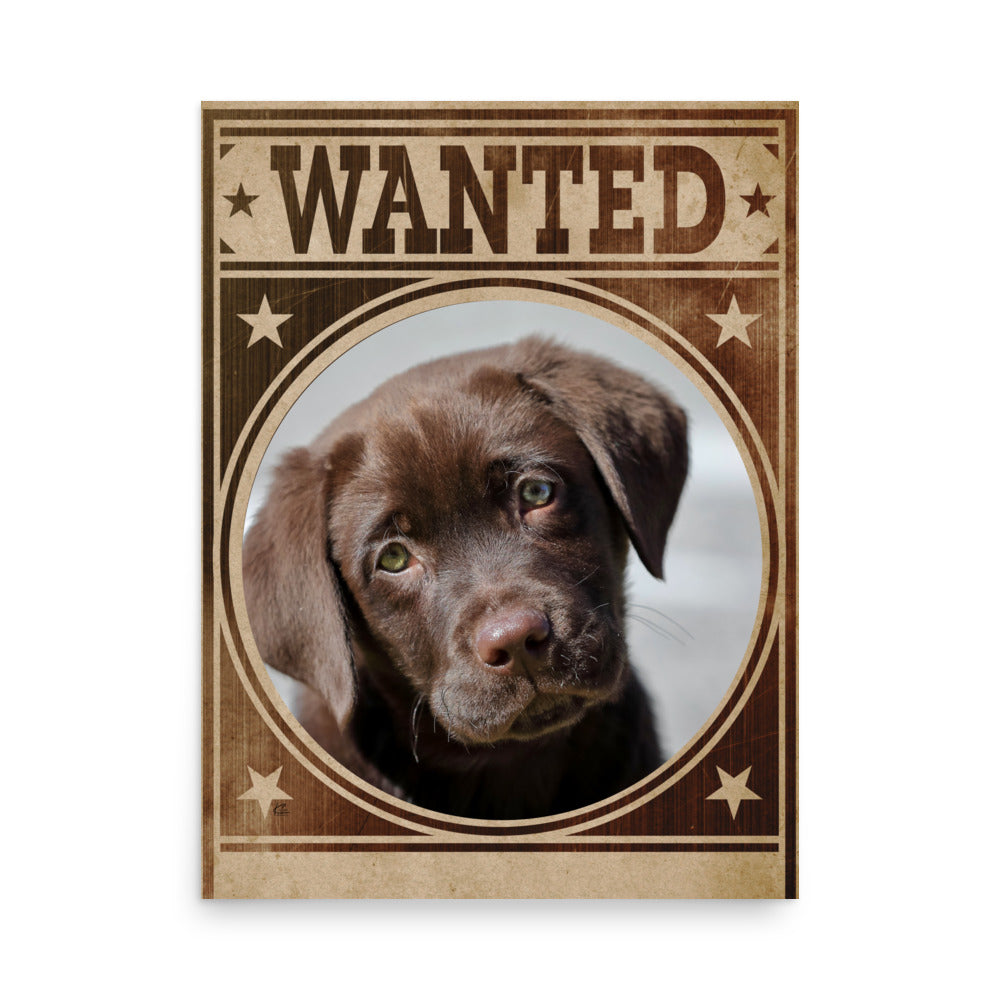 Labrador Mug Shot Wanted Poster