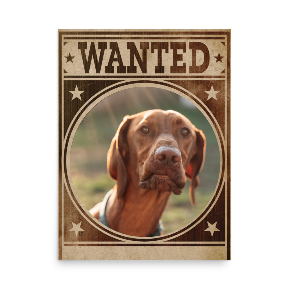 Pointer Mug Shot Wanted Poster